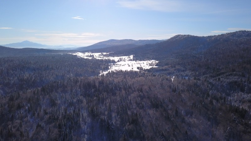 Saborsko aerial photo