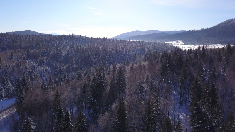 Saborsko aerial photo