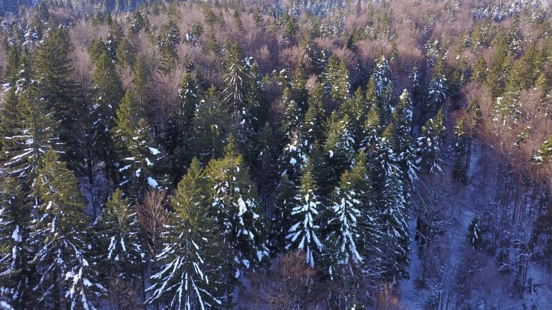 Saborsko aerial photo